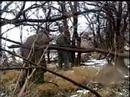 Battle of the Bulge (History Project)