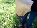 videos de Emilita and Coneitor