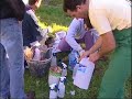 GRABADOS RUPESTRES LA FAJANA  YEL SEMENTERIO