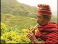 Banaue Rice Terraces - YouTube
