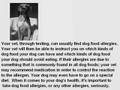 probiotic therapy and allergies