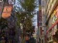 Voyage au Japon de Yami Shino