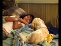 Search Video