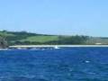 videos de retarts.3GP
