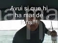 Cap de setmana n�utic