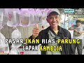 Daftar Harga Ikan Hias Di Pasar Parung