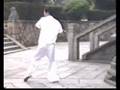 螳螂拳,洪敦品,武术, kongfu