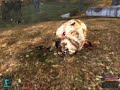 stalker: la zona en vivo: la temeraria oveja mutant minera