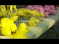 Sony Bravia - new Play-Doh advert teaser, with added bunnies