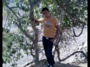 R.A.R شلة
