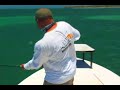 huge tarpon with robert paulson