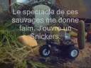 anthropologie du cornichon_0001.wmv anthropologie du cornichon_0001.wmv