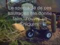 anthropologie du cornichon_0001.wmv