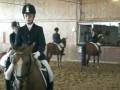 videos de Engter 10.-13.7.08 E-Dressur