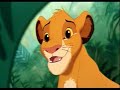 Il Re Leone- Una Storia Importante