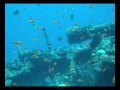 CADSAC in The Red Sea on 'The Valerie' 2009