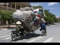 Insolite