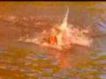 Triathlon
