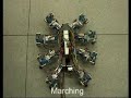 Omnidirectional walking under neural control