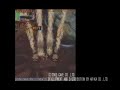 DoDonPachi Daioujou - Final Stage