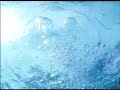 washing-of-the-water.html