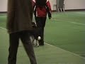 Obediencia: Campeonato del mundo 2006, Selsaas.Kuellaug 1
