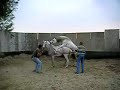Reina Getting Stuck