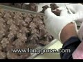 Long Grove Confectionery Long Grove Confectionery