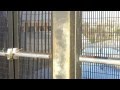 SkReW - Lockdown feat. G-Beanz [Official Music Video]