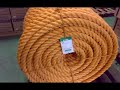 Flor do Gr�o Par�