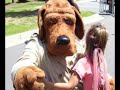 McGruff