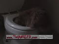 Toilet Fishing Kitty