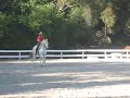 Training for Tempi and Pirouette on Pura Raza Espanol Andalusian PRE mare