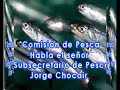 Comision de Pesca habla Subsecretario de Pesca Jorge Chocair