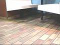 Rat Mouse in Aspley McDonalds !