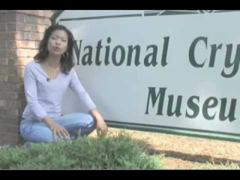 Michelle Malkin & the National ...