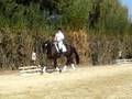 Saumur 2008 JC