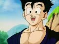 Dragon Ball Couples