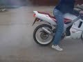 polizoare cu 125