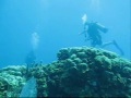 Steve Corban and Conner dive trip to Tortola Steve Corban and Conner dive trip to Tortola