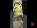 Painting Lanterns