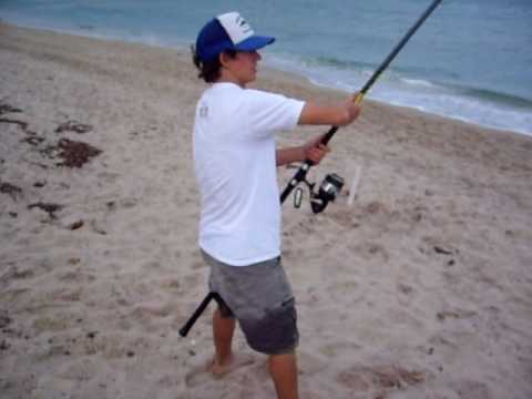 Beach Shark Fishing