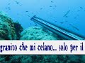 pesca in apnea - blue pesca in apnea - blue