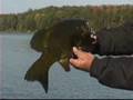 videos de PT Smallmouth Bass Part 3