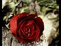 بحبك يا مجنونه لسمية.WMV