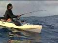 Catching a fish