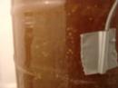 Double IPA Fermenting