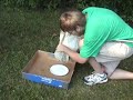 4H Entomology
