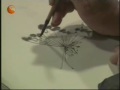 Chinese Painting Flower Birds (Part 2001/3000) Drawing Butterflies + Free ebooks pictures