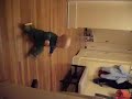 Marker top off.avi